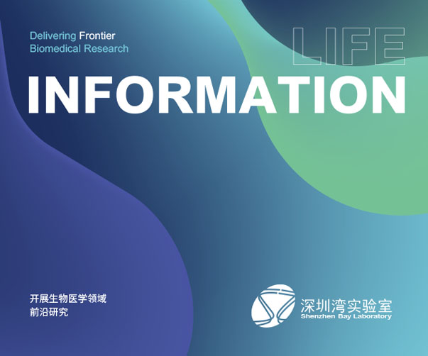 禮儀學(xué)院logo設(shè)計(jì)的優(yōu)雅風(fēng)范