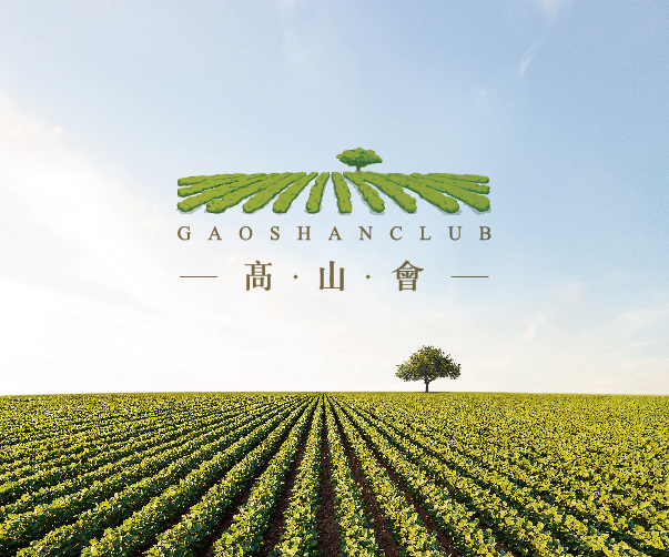 品牌VI設計如何在不同媒體平臺上展示一致性？